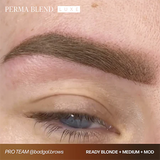 Perma Blend Luxe PMU Ink - Ready Medium 15ml