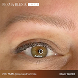 Perma Blend PMU LUXE Ready Set Go Pre-Modified Set 6x15ml