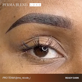 Perma Blend Luxe PMU Ink - Ready Dark 15ml